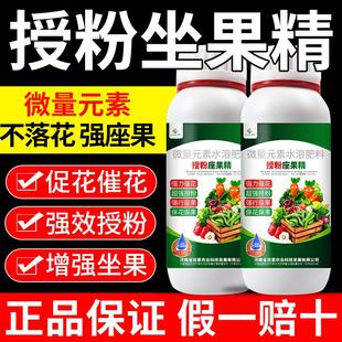 授粉坐果精坐果灵促花催花座果灵果树金弹子保花保果防落果防落素