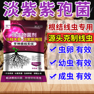 淡紫紫孢菌根结线虫专用药颗粒淡紫抑青霉根线清根线灵根瘤菌剂