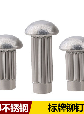 304不锈钢铆钉直纹滚花标牌铆钉GB827 M2M2.5M3M4M5