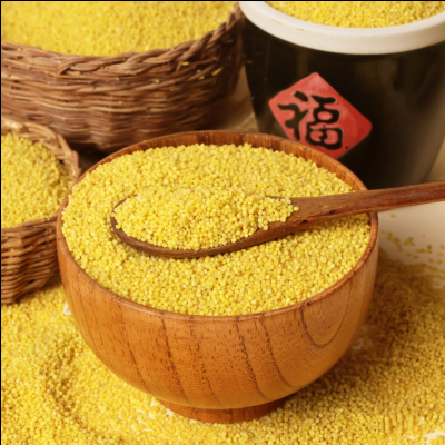 【团长专享】陕西榆林米脂黄小米500g/袋