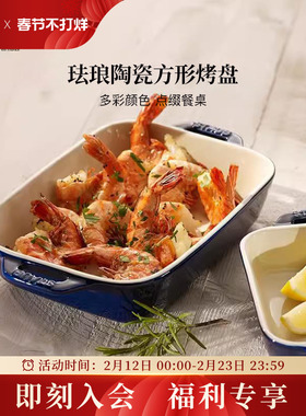 staub珐宝陶瓷长方形烤盘家用烤箱微波炉烘焙珐琅餐盘送礼