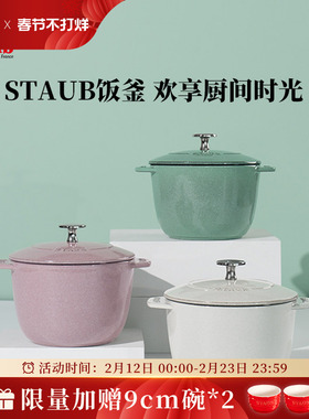 staub珐宝珐琅铸铁锅饭釜锅16cm家用一人炖盅煲汤焖饭焖烧锅炖锅