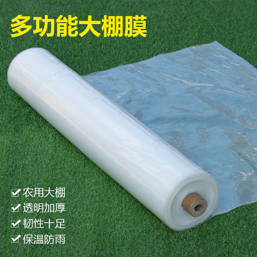 pe加厚防雨布整卷塑料薄膜
