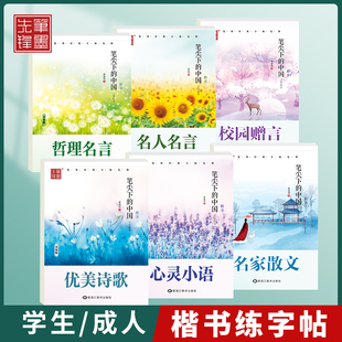 笔墨先锋 练字帖楷体手写体临摹本贴 字帖练字行楷行书楷书成年大学生男女生字体漂亮高中生成人钢笔硬笔书法练字神器国学经典