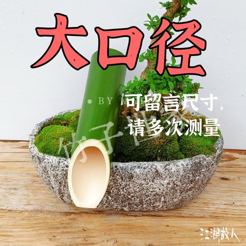 竹子竹筒大口径竹杆斜竹筒带竹节绿色现砍加长流水嘴引水管粗竹子