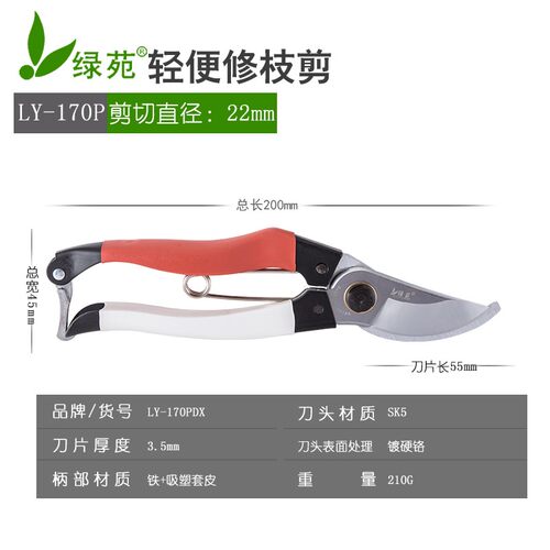 花剪园艺剪刀剪枝家用修剪树枝果树火龙果修枝剪花艺花枝粗枝剪刀