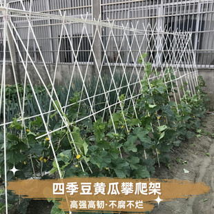 豆角黄瓜爬藤架家用农用豇豆架玻璃纤维杆玻璃钢小苗支撑杆棒架子