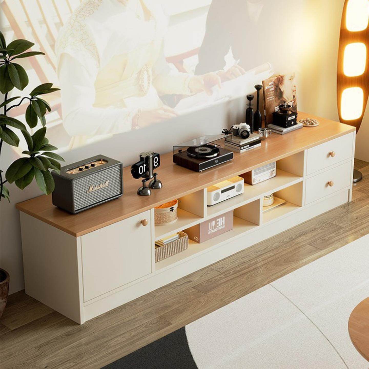 电视柜客厅收纳柜子储物柜家用落地柜简易出租屋电视机柜展示柜