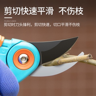 家用剪枝果树修枝剪刀园艺D修枝剪园林L省力V花艺工具修花枝