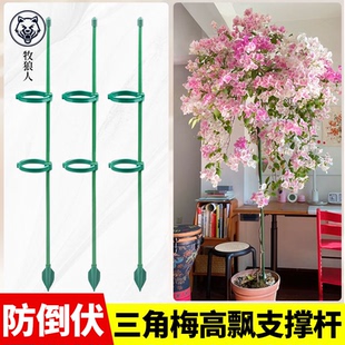 三角梅高飘支撑杆爬藤架花架固定器龟背竹绿植物防倒伏花卉支撑架