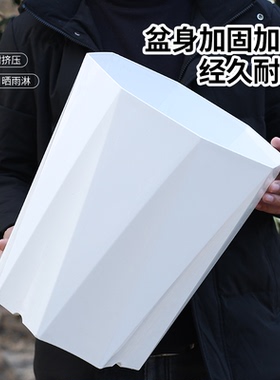 牧狼人花盆家用客厅简约塑料盆栽发财树龙血树天堂鸟大口径白色盆