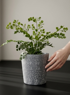 简约水泥花盆室内桌面小盆栽