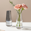 日式 迷你玻璃花瓶小透明水培鲜花玫瑰插花器办公桌面摆件简约现代