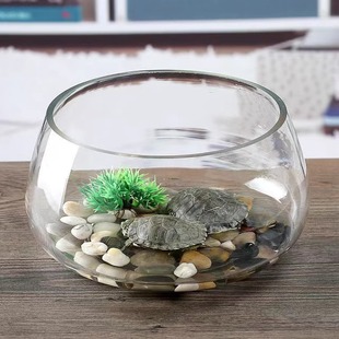 金鱼缸玻璃圆形办公桌客厅水培家用小鱼缸透明小型迷你造景乌龟缸