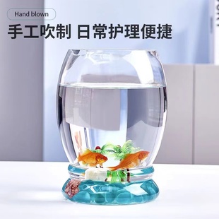 簡約綠蘿水培玻璃花瓶水養(yǎng)植物花盆透明大號器皿富貴竹瓶魚缸插花