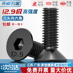 12.9级高强度沉头内六角螺丝钉 平头螺栓平杯螺杆M3M4M5M6M8M10mm