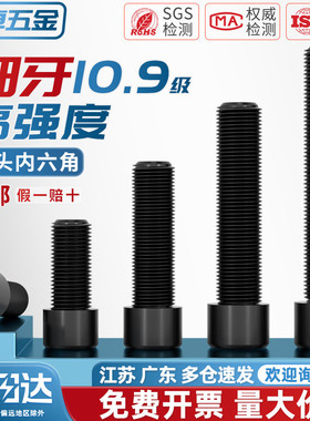 10.9级细牙内六角螺丝MM8*1M10*1.25M12M14M16*1.5M18M20M22M24x2