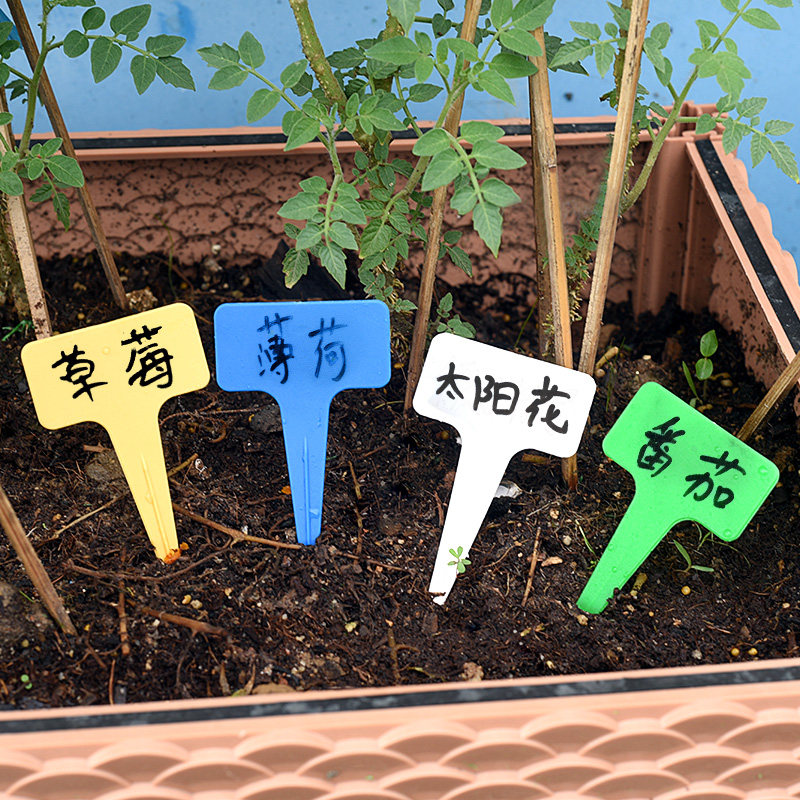 园艺多肉标签加厚塑料花卉园艺插地牌多肉植物名字标签防水小插牌在类目 鲜花速递/花卉仿真/绿植园艺, 园艺用品, 其它园艺用品中 - 来自Buy2taobao.com提供专业的淘宝代购服务