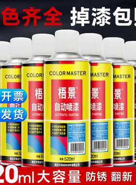 自动手摇自喷漆金属防锈家具汽车专用黑色白色银色油漆罐光油翻新
