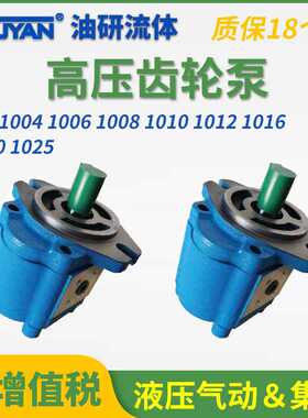 A1FL高压B1FR齿轮泵CBK1004/1006/1008/1010/1012/1016/1020/1025