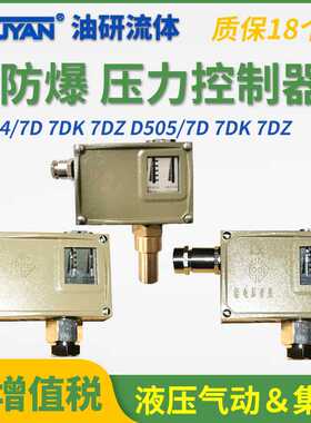 防爆型压力控制器D504/7DK/Z切换差不可调D505/7D双触点压力开关