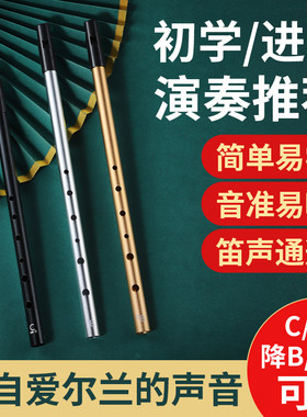 爱尔兰哨笛D调C调降B调金属笛口笛竖笛初学者入门专业款六孔直笛