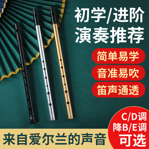 爱尔兰哨笛D调C调降B调金属笛口笛竖笛初学者入门专业款六孔直笛