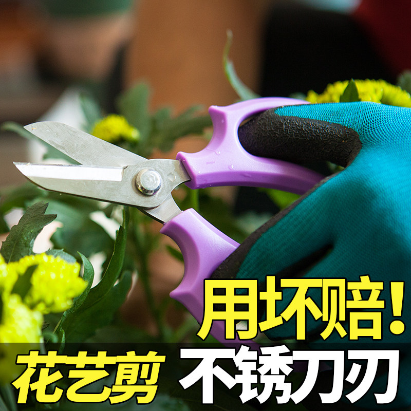 园艺剪刀花艺盆景修剪造型专用工具疏果剪鲜花叶芽葡萄修果修枝剪