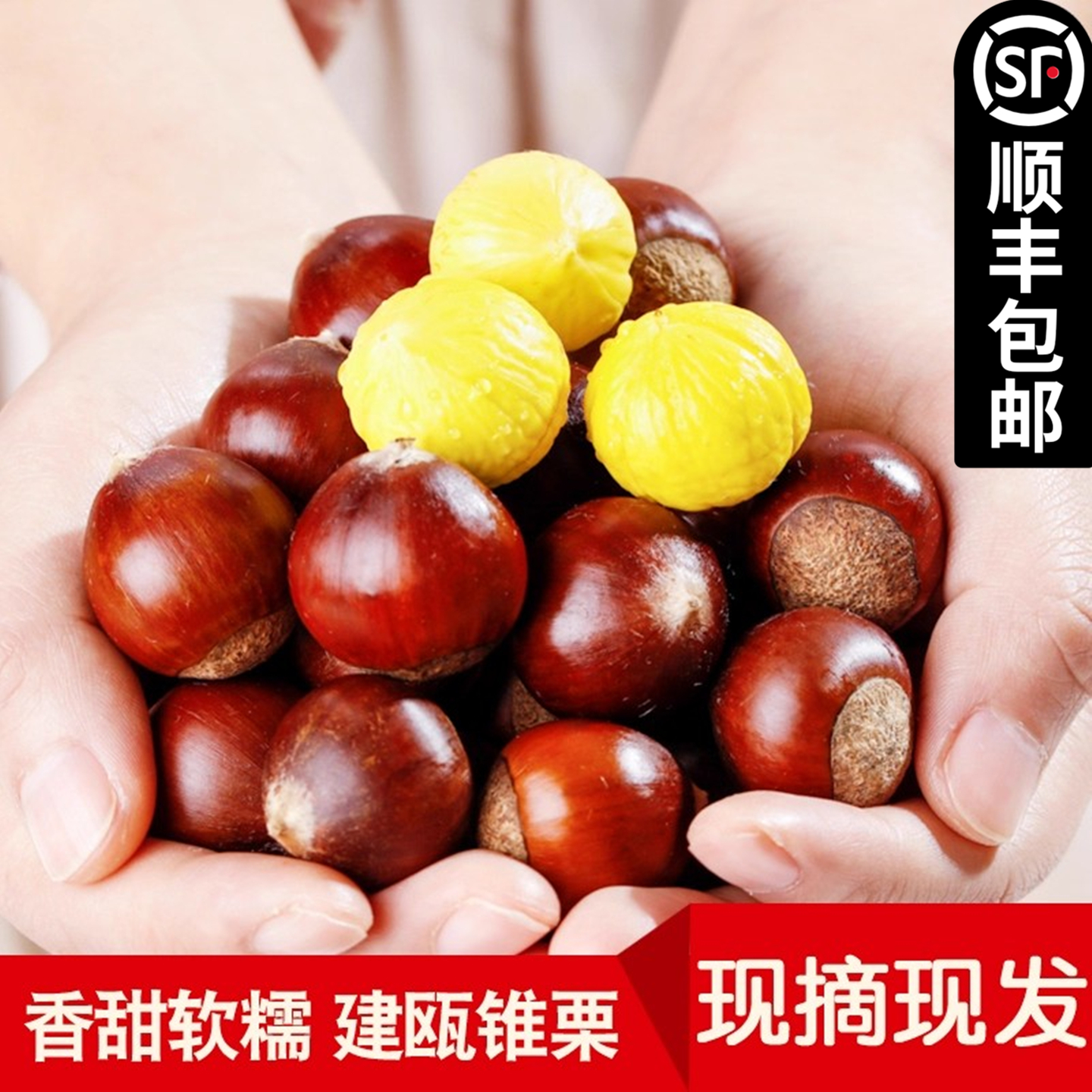【顺丰包邮】板栗生新鲜2025年栗子建瓯锥栗油栗高山农家现摘板栗