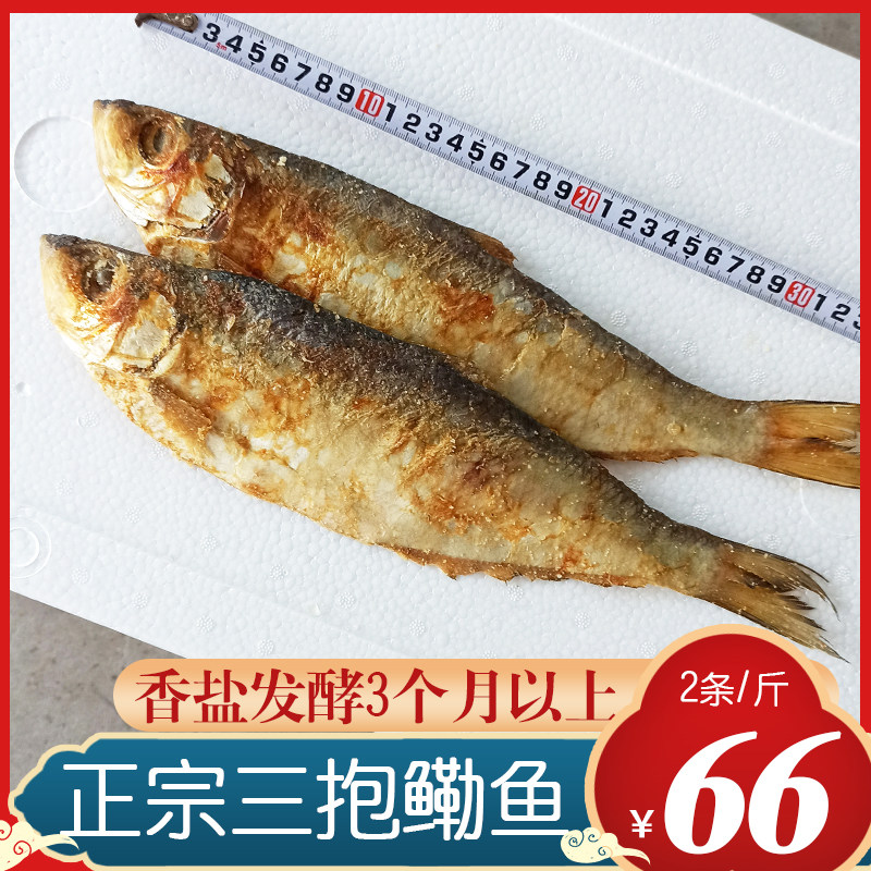 三刨鳓鱼宁波特产霉香鳓鱼咸力鱼白鳞鱼大号咸鳓鱼2条/斤三抱鳓鱼