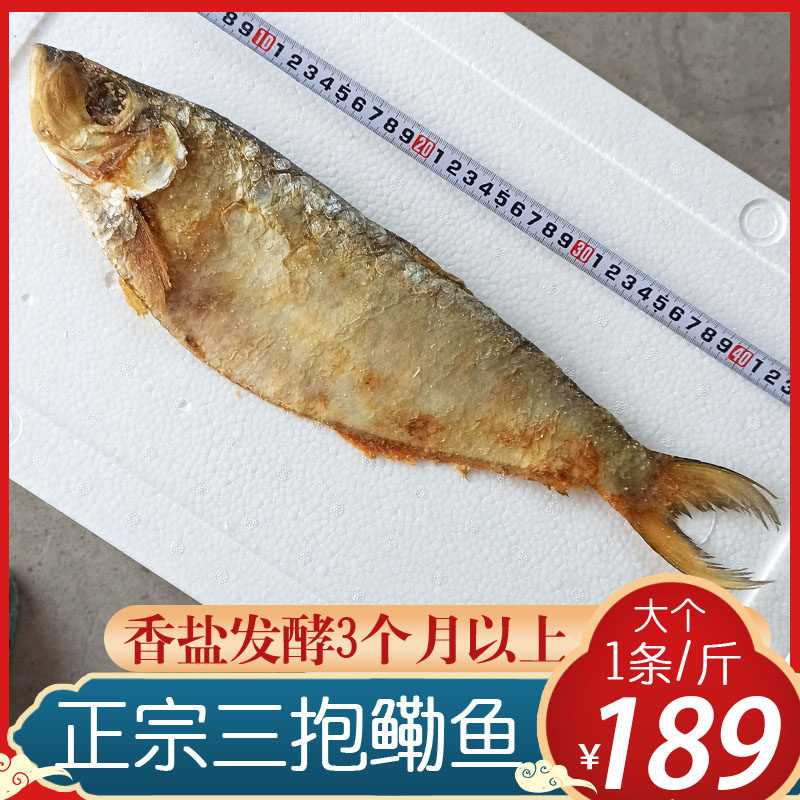 三刨鳓鱼咸霉鳓鱼老宁波老底子压饭榔头咸力鱼臭香力鱼1条=500g