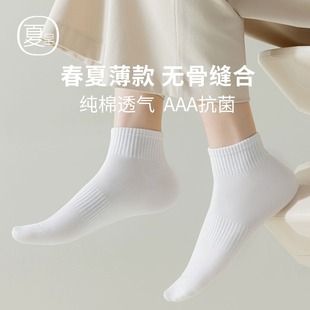 纯色袜子女士简约夏季 运动防脚气防臭吸汗简约船袜中筒短袜 薄款