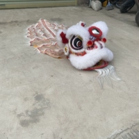 10 -INCH Bubble Lion White One Model