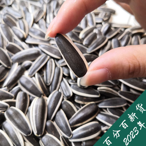 原味瓜子大颗粒葵花籽新货饱满