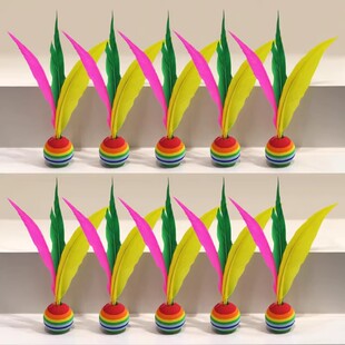 10只装 板羽球成人板球板羽球拍的三毛球 三毛球拍的毽球正品包邮