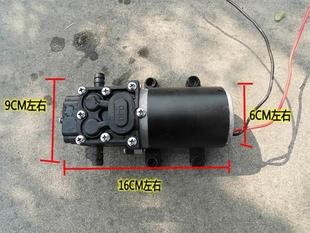 功大率12农V电动喷雾器隔膜泵用药洗车SBH消毒增压微型自打吸水泵