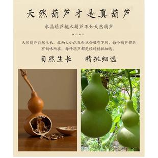 天然小葫蘆掛件掛飾客廳室玄塑EOL關電視綠柜臥大門裝 飾葫蘆串蘿