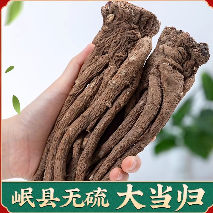 野生大当归老当归10年以上