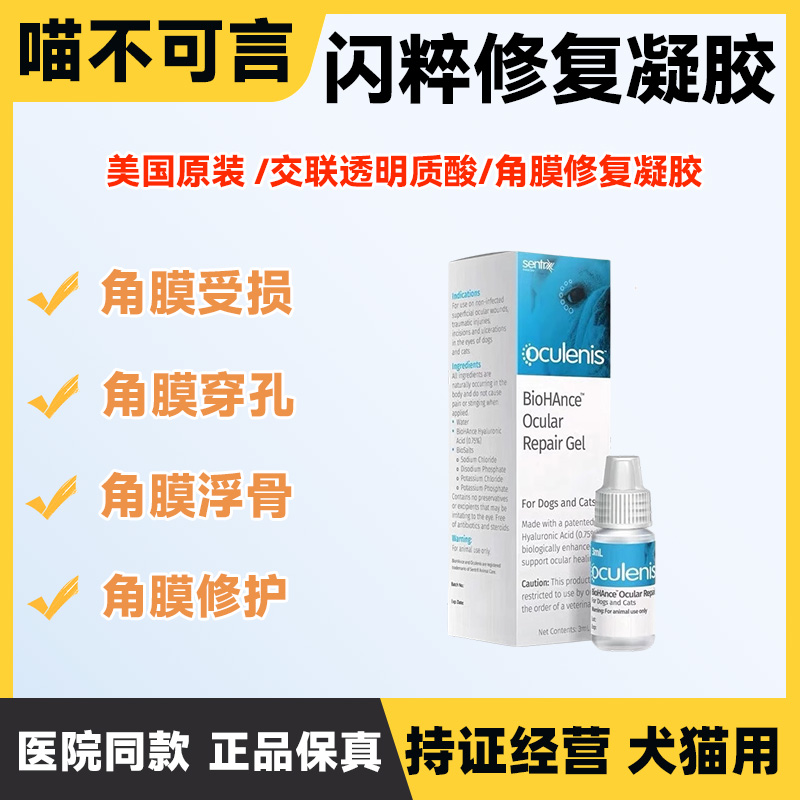 闪粹溃疡干眼穿孔腐骨修复凝胶