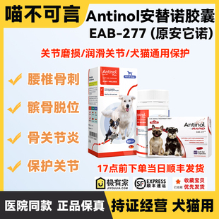 安替诺Antinol277髌骨脱位软骨素猫狗宠物关节强炎腰椎骨刺安它诺