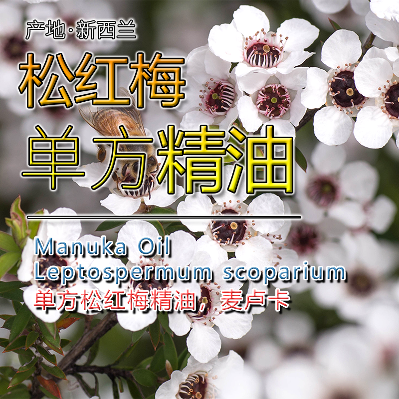 新西兰松红梅精油5mL