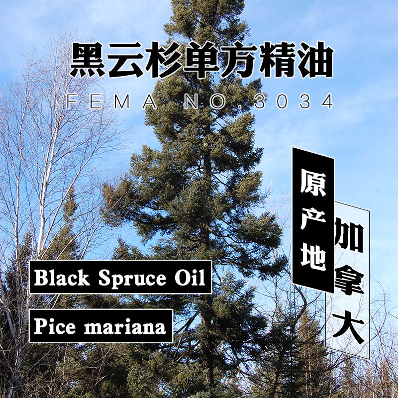 黑云杉精油5mL,洗护清洁剂/卫生巾/纸/香薰,香薰香料,淘宝优惠券,粉丝福利购,淘宝优惠卷