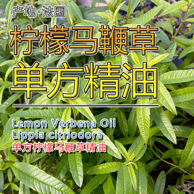 柠檬马鞭草精油5mL