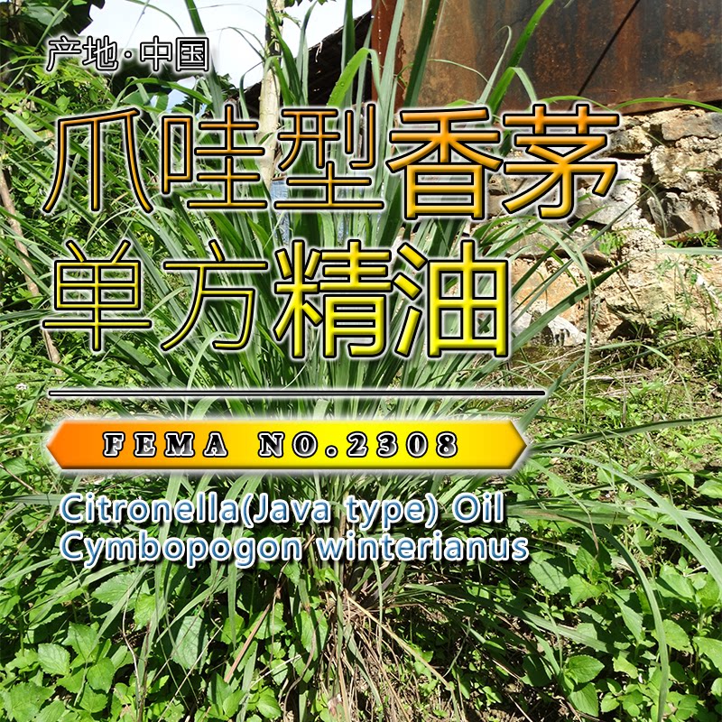 爪哇型香茅精油15mL