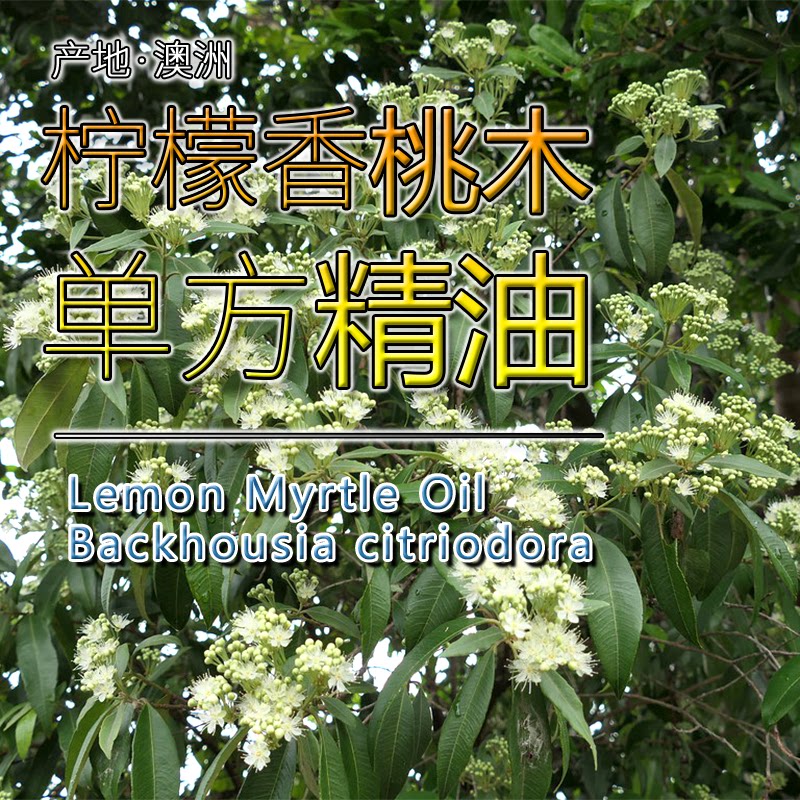 柠檬香桃木精油5mL澳大利亚
