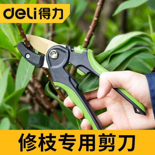 得力修枝剪刀园林花艺修剪