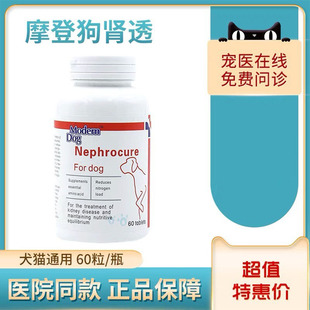 摩登狗肾透宠物提高肾脏代谢降低尿毒素磷延缓恶化