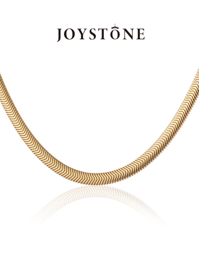 JOYSTONE意大利软扁蛇骨项链 不易折欧美高级秦岚同款锁骨链礼物