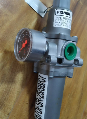 fisher费希尔全新原装67DFSR-25/sb/c7 不锈钢过滤减压阀调压器