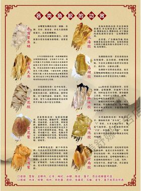 各类鱼胶的功效鱼胶不干胶标签野生干货标贴鱼肚鱼鳔简介说明贴纸